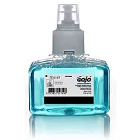 Freshberry carga foam 700 ml c/3ud ltx7 ref: 1316-03 - 3010008