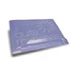 Toallita quitamanchas 100 und prac - 1660023
