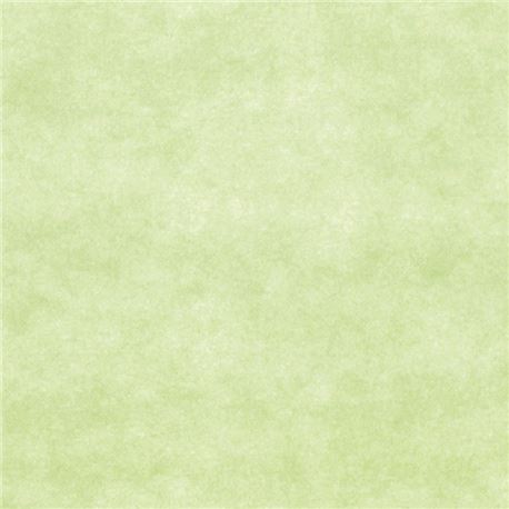 Mantel 100x100 newtex pistacho 50 gr. c/ 150 ud - 1550013-MANTEL100X100NEWTEXPISTACHO